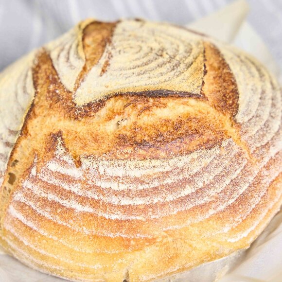 DEHYDRATED SOURDOUGH STARTER 2 OUNCE PACKAGE - Picture 12 of 16